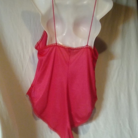 Teddy - Picture 4 of 8